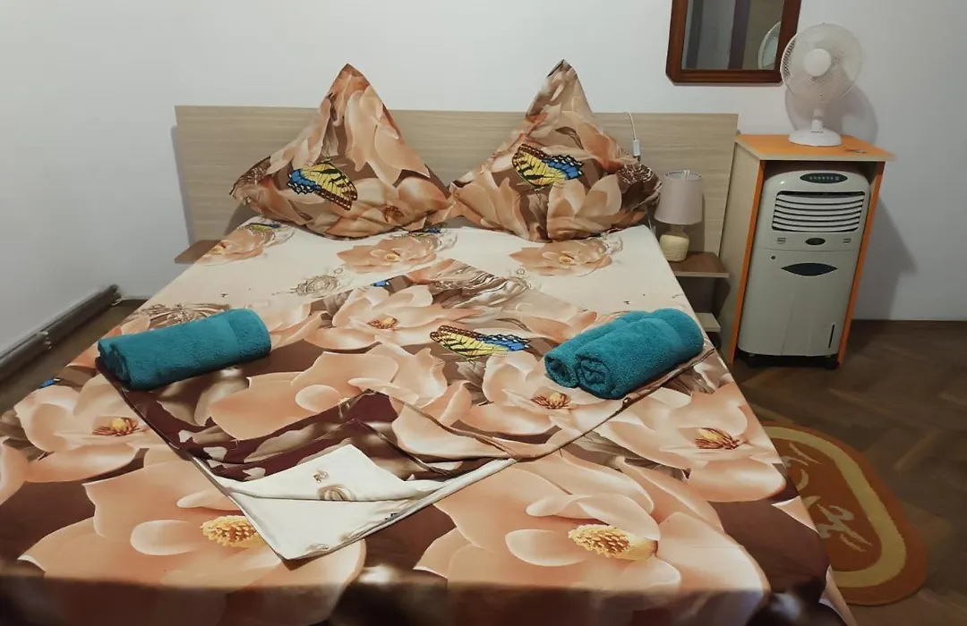 Casa Gabriela-1