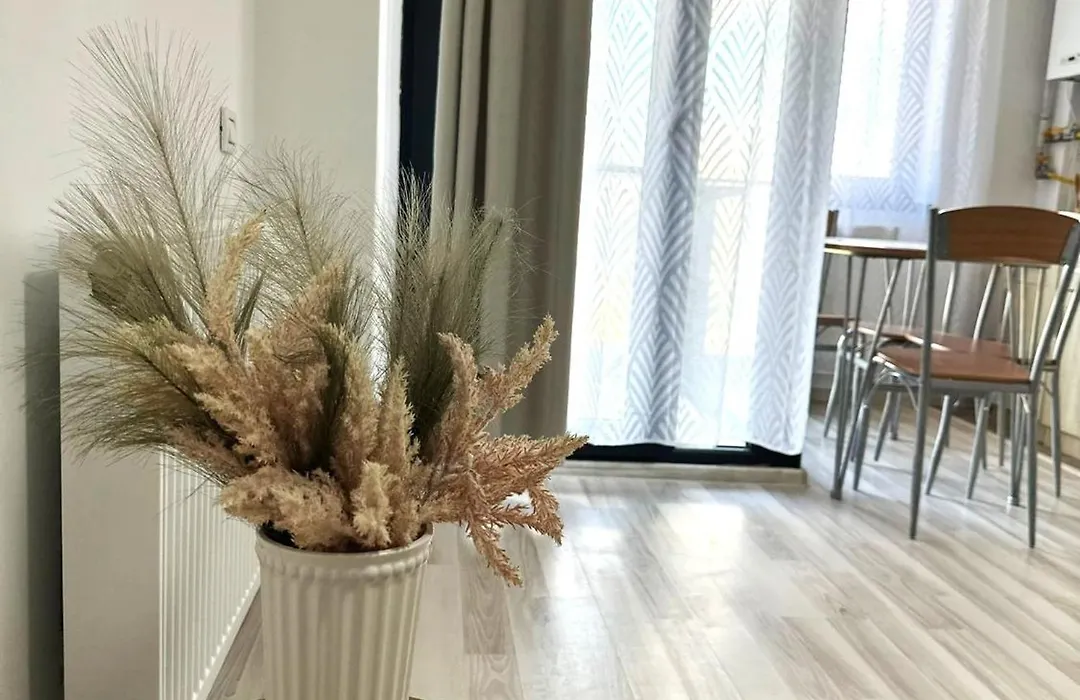 Apartamente&Studiouri Jolie Eforie Nord-1