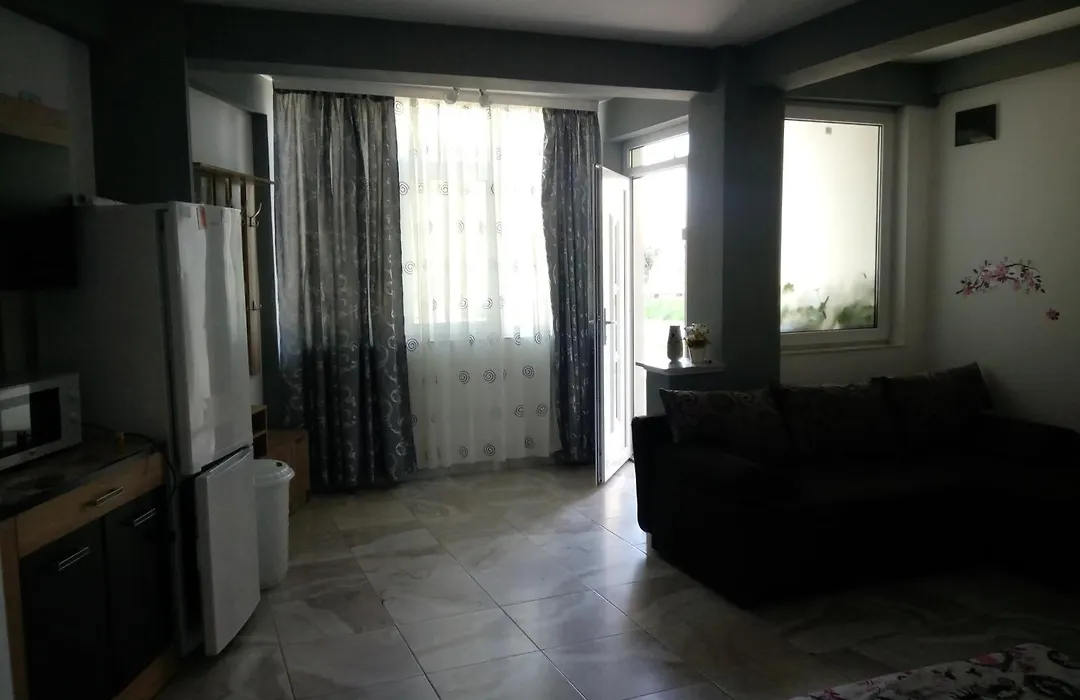 Apartament Si Studio Daniel-1