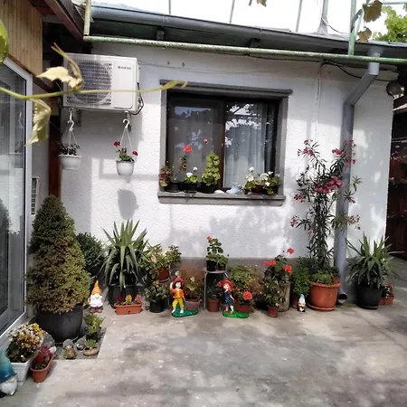 Casa Fely-3