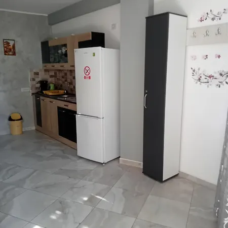Apartament Si Studio Daniel-3