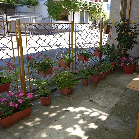 Casa Petre-3