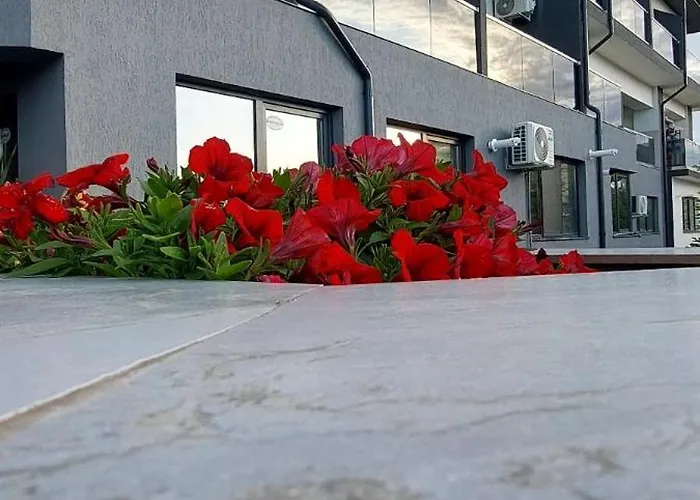 Anelisse Apartments