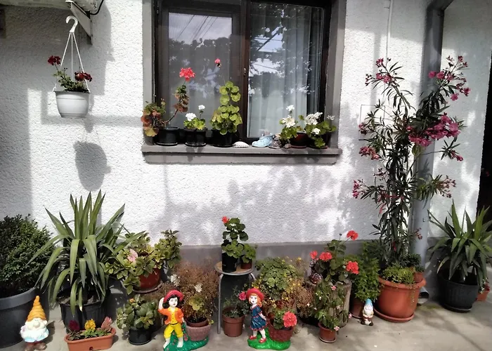 Casa Fely