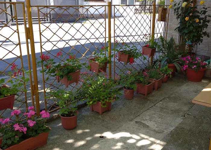 Casa Petre